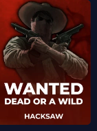 Wanted Dead or a Wild